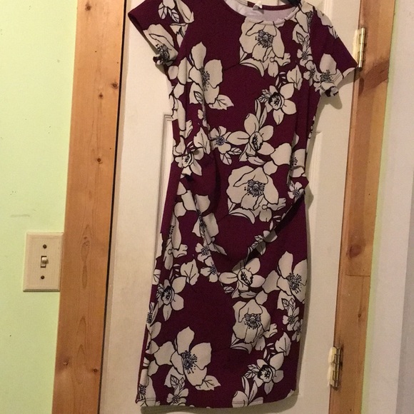 Pinkblush maternity dress - Picture 4 of 5